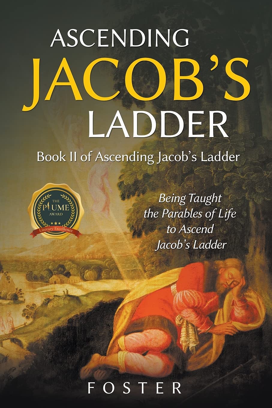 Ascending Jacob's Ladder Book II in the Jacob's Ladder Series by Mark Foster Goodreads