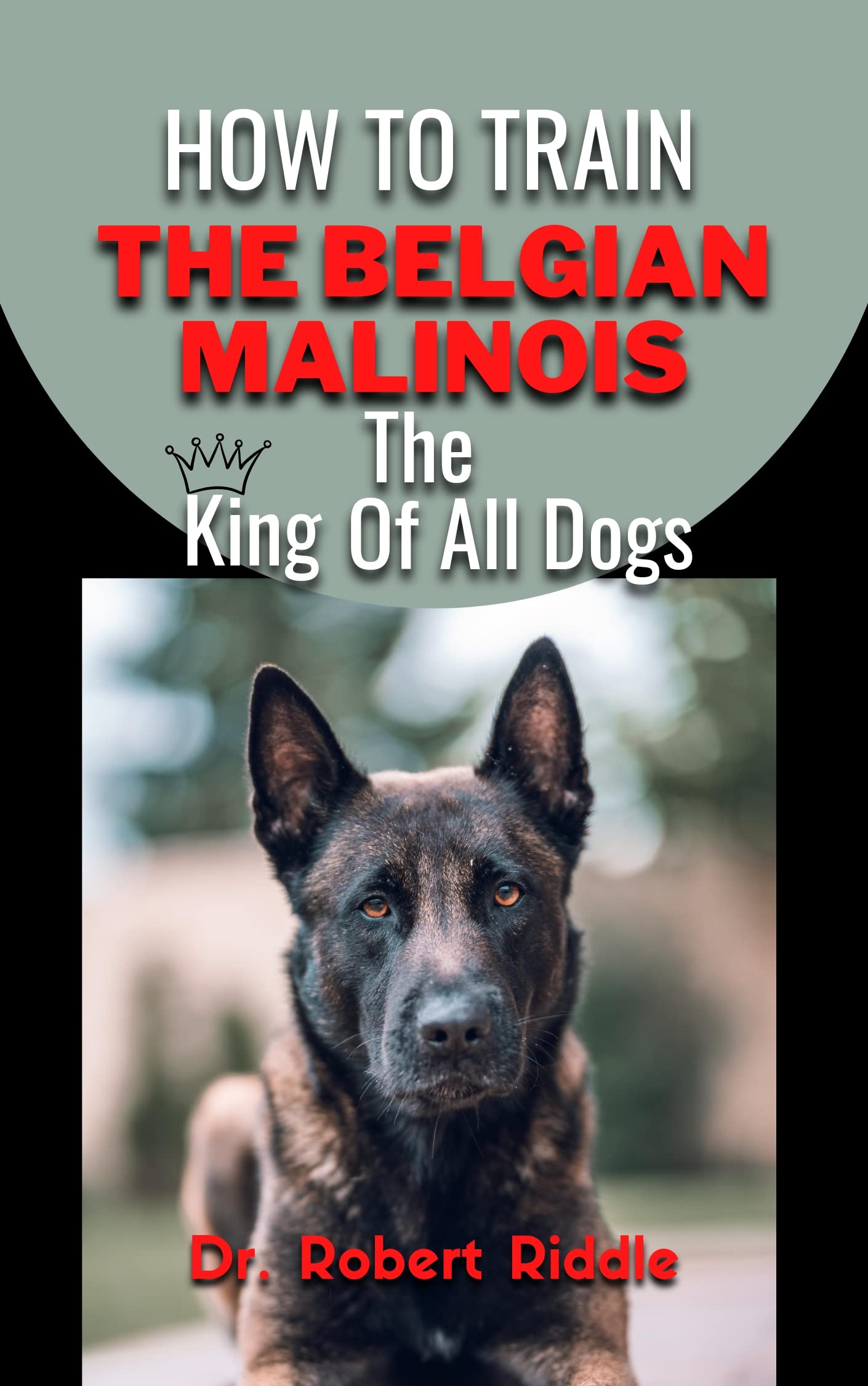 HOW TO TRAIN BELGIAN MALINOIS The King Of All Dogs by Dr. Robert
