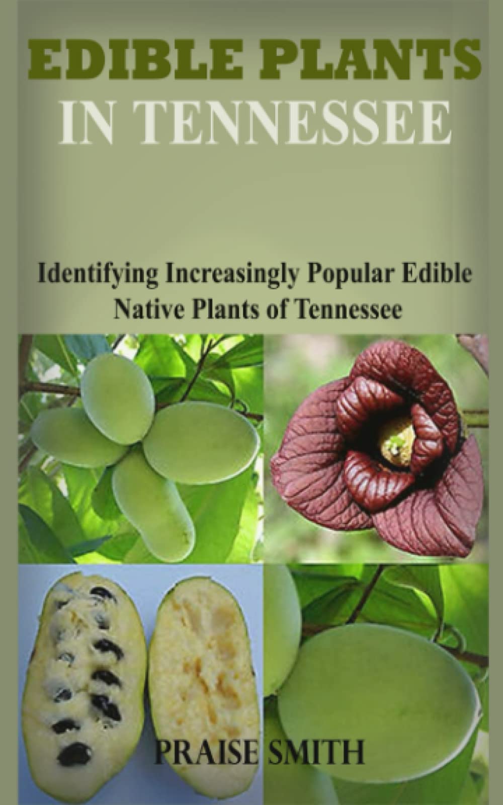Tennessee Edible Plants Guide Identifying Increasing Popular Edible