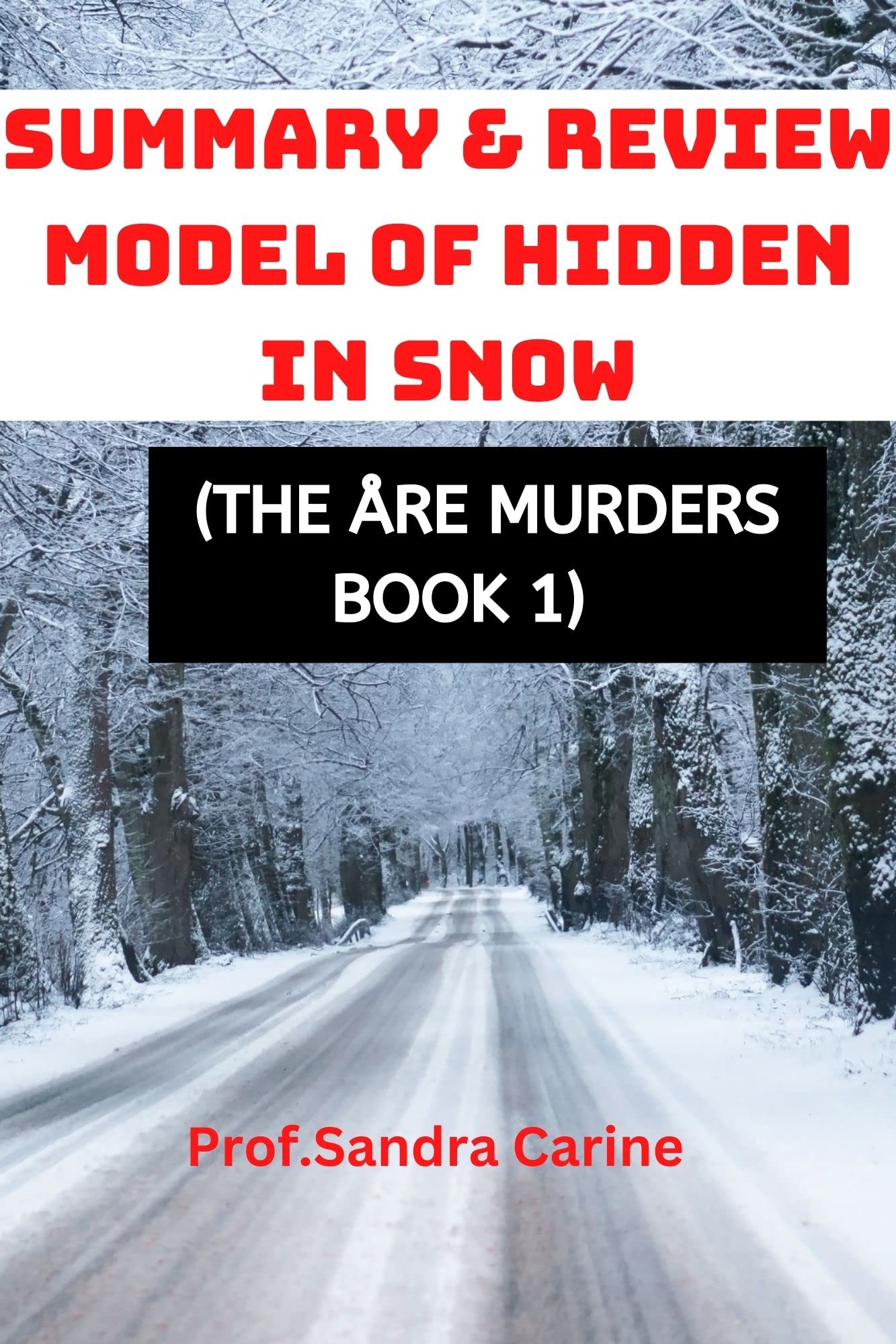 SUMMARY MODEL OF HIDDEN IN THE SNOW (The Åre Murders