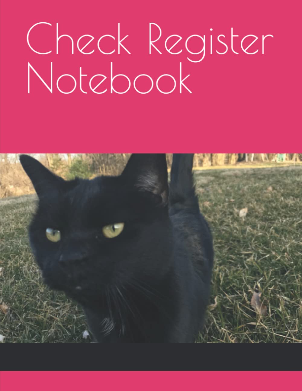 Check Register Notebook Financial Transaction Ledger Accounting check-register-notebook-financial-transaction-ledger-accounting