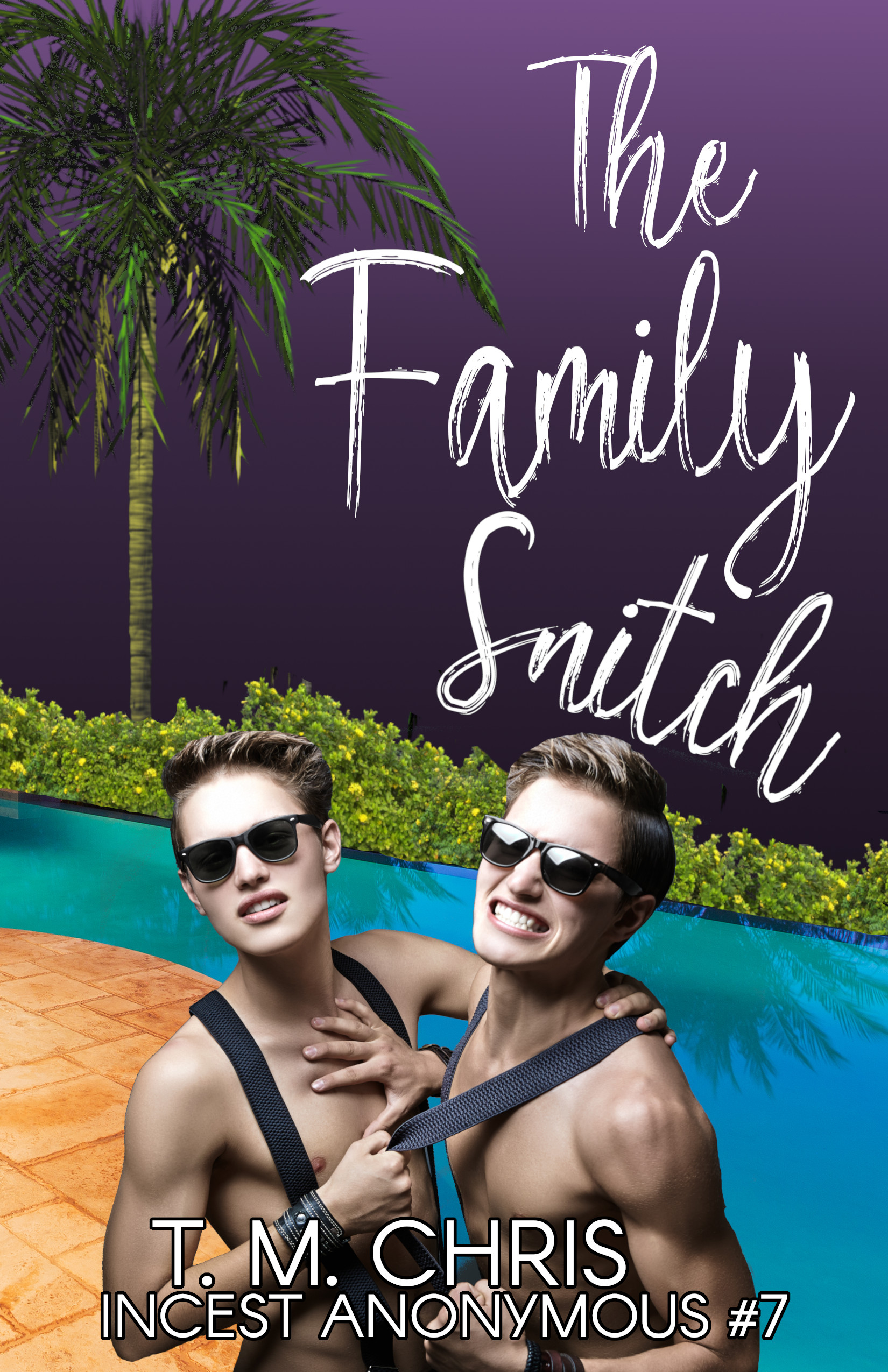The Family Snitch book cover