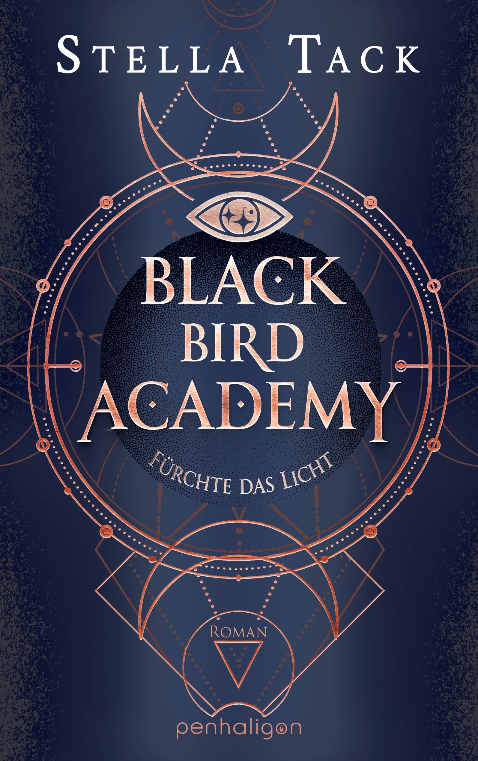 Black Bird Academy book cover 2