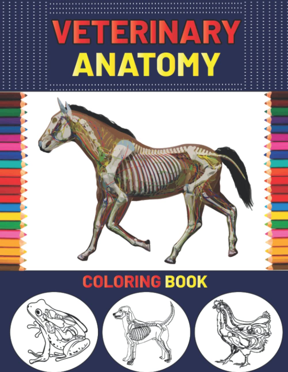 Veterinary Anatomy Coloring Book Animal Anatomy and Veterinary
