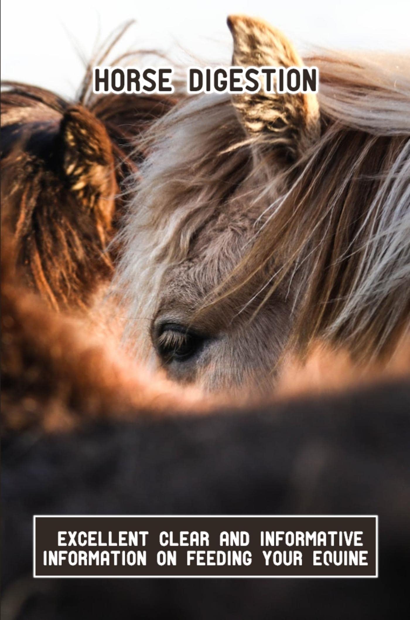 Horse Digestion Excellent Clear And Informative Information On Feeding