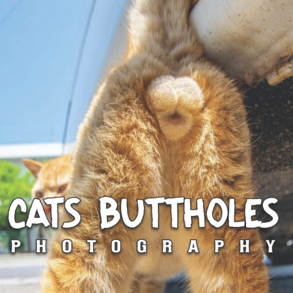 Cats Buttholes Photo Book Compelling Photos Of Cats Buttholes