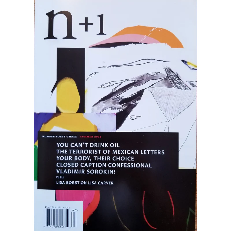 n+1 Issue 43 book cover