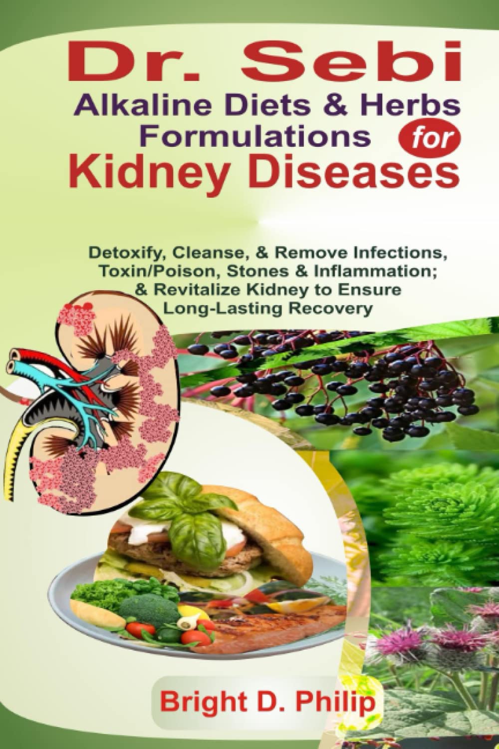 Dr. Sebi Alkaline Diets & Herbs Formulations for Kidney Diseases