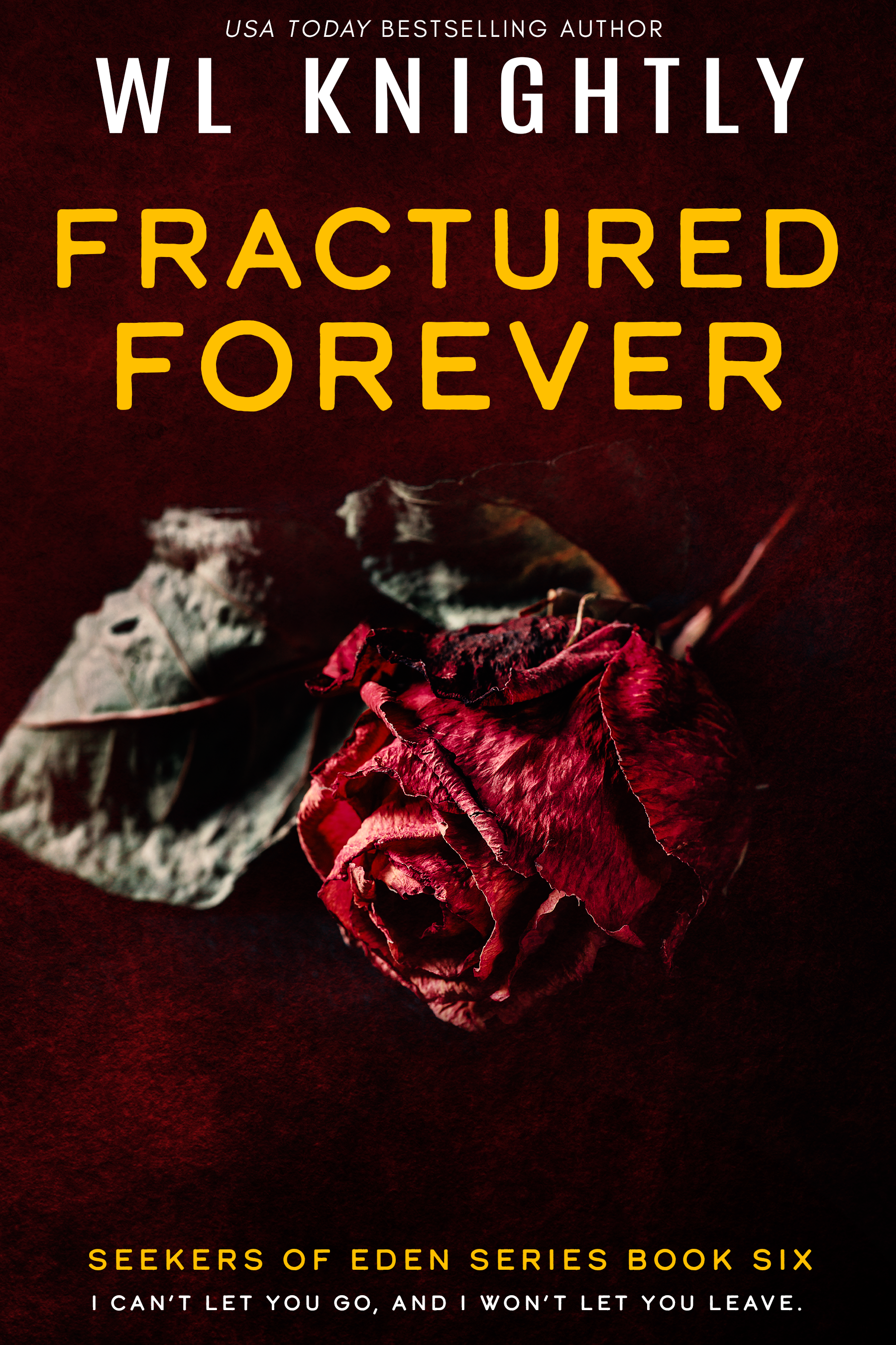 Fractured Forever book cover
