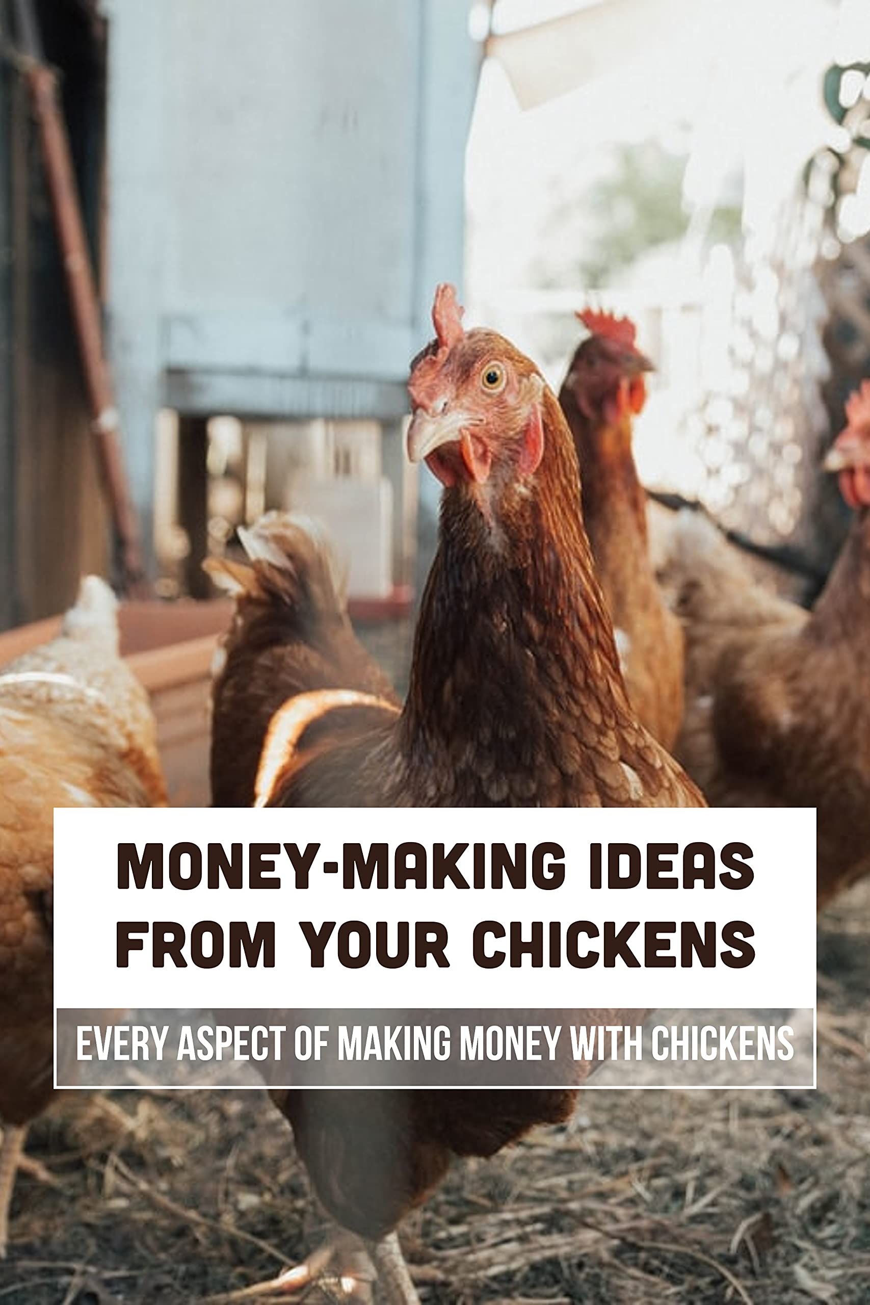 MoneyMaking Ideas From Your Chickens Every Aspect Of Making Money