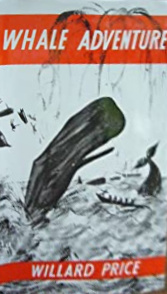 Whale Adventure book cover