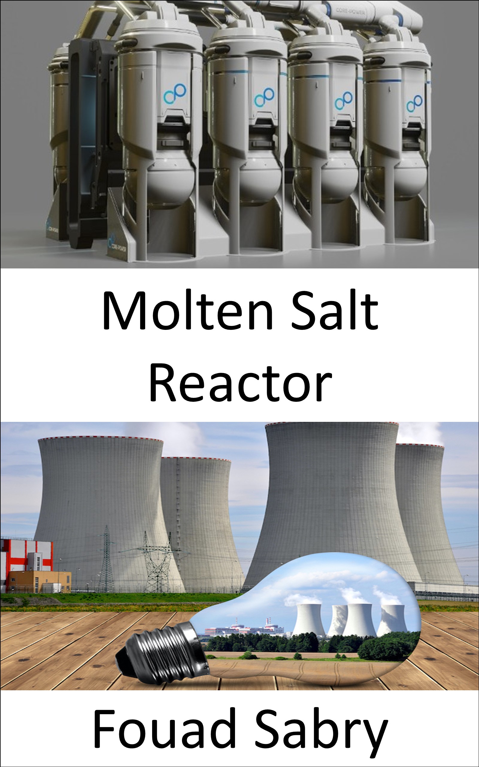 Molten Salt Reactor Rethinking the fuel cycle in the future of nuclear