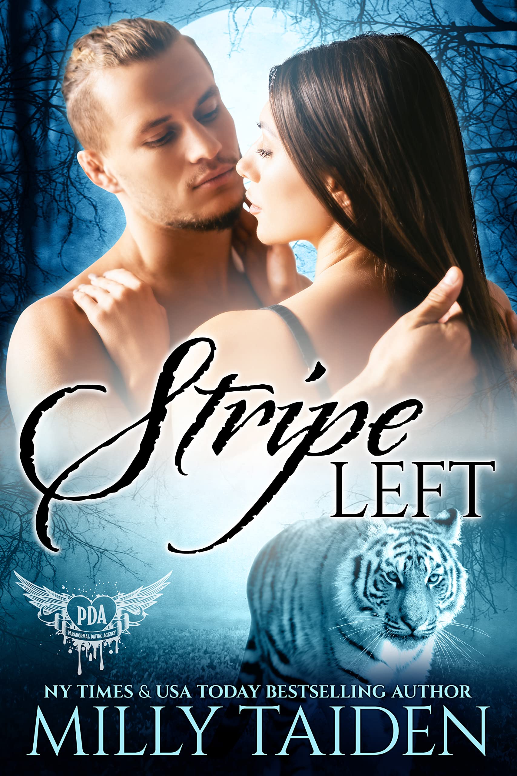 Stripe Left book cover