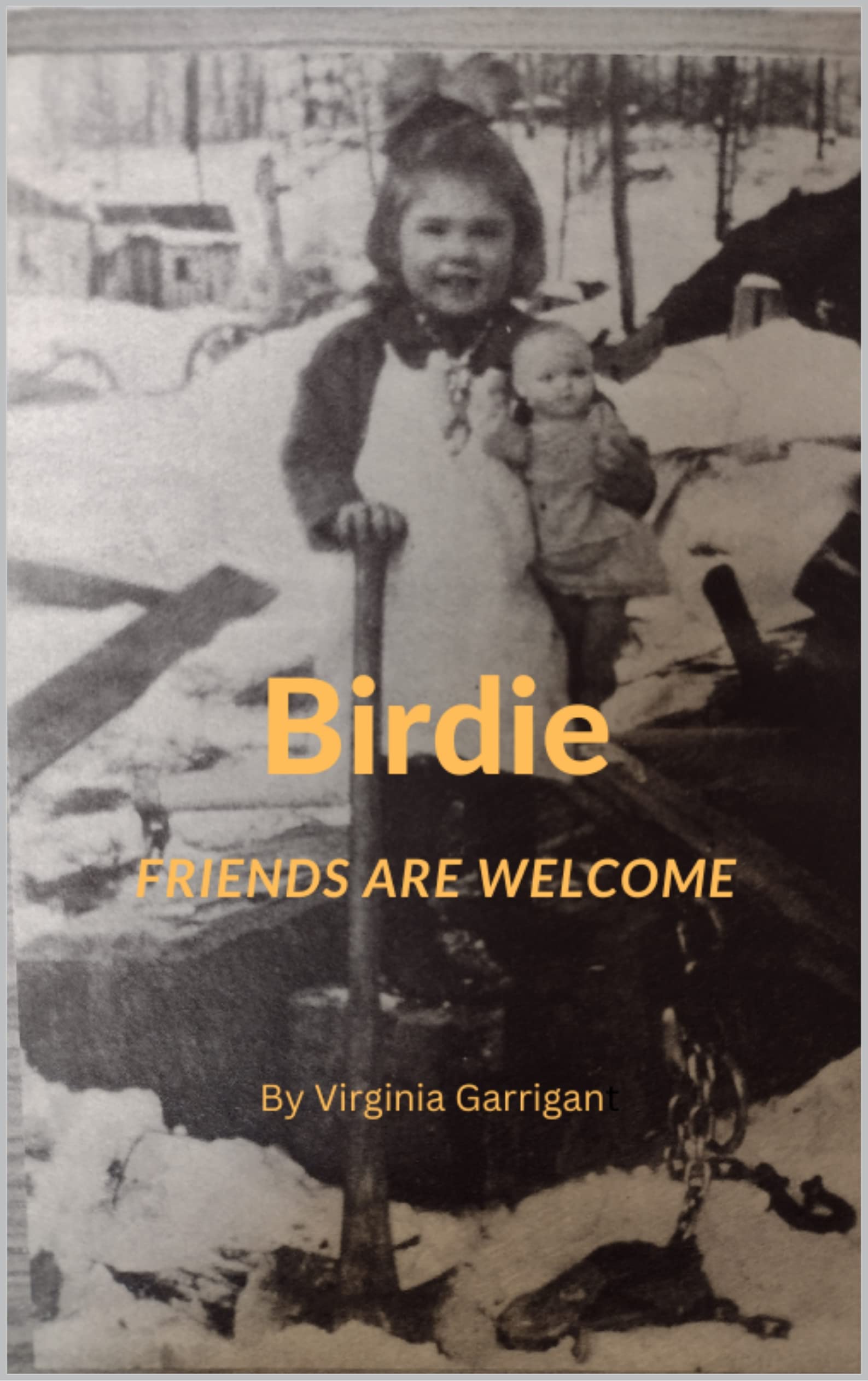 Birdie Friends Are A Memoir by Virginia Garrigan Goodreads