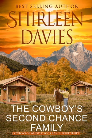 The Cowboy's Second Chance Family book cover