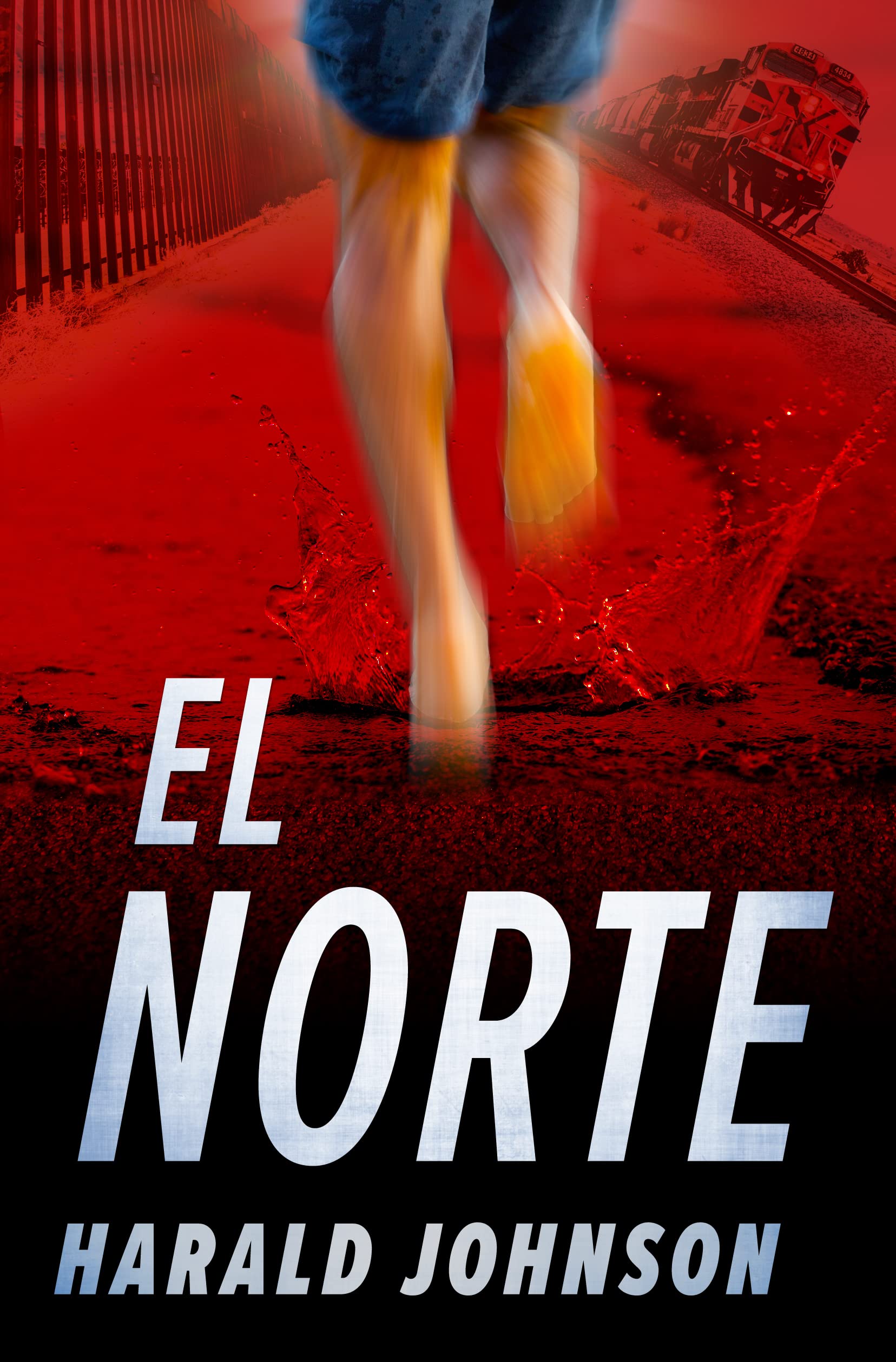 El Norte: A Novel