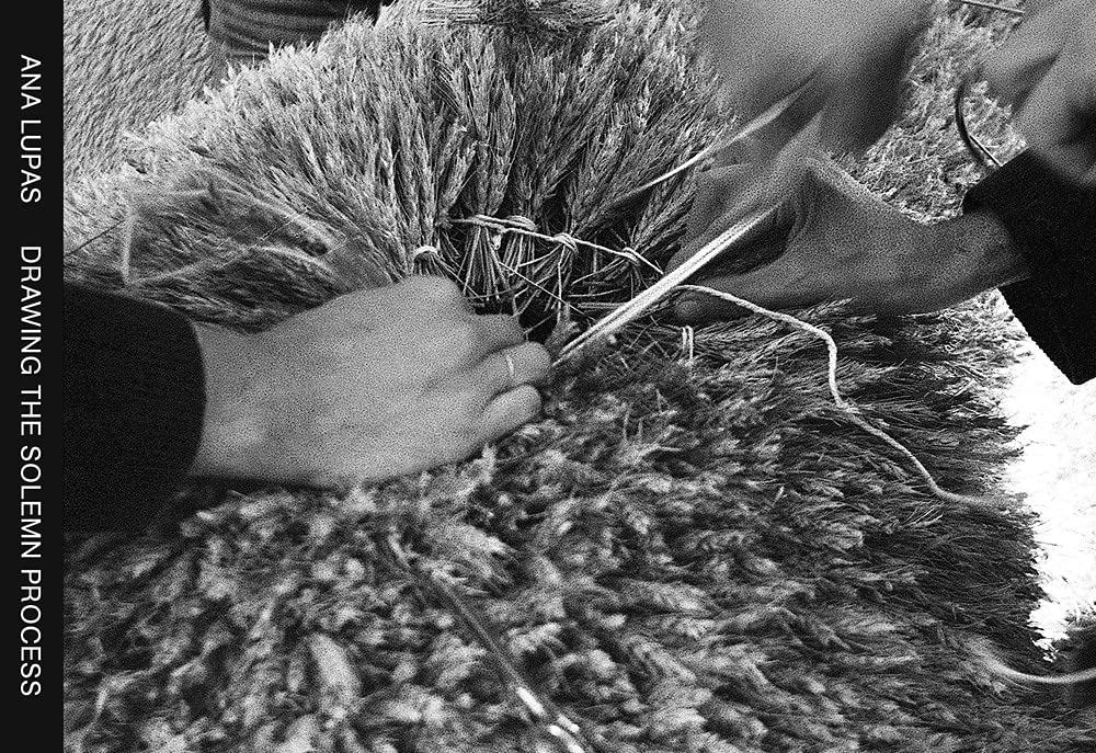 Drawing The Solemn Process by Ana Lupas Goodreads