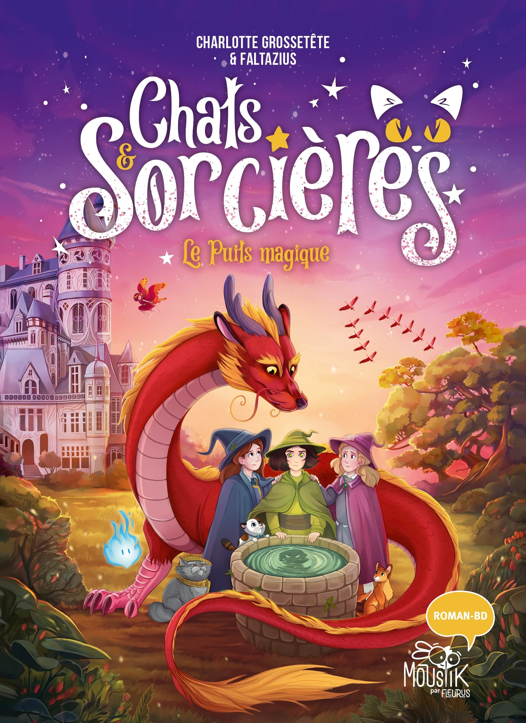 Chats & sorcières book cover 2