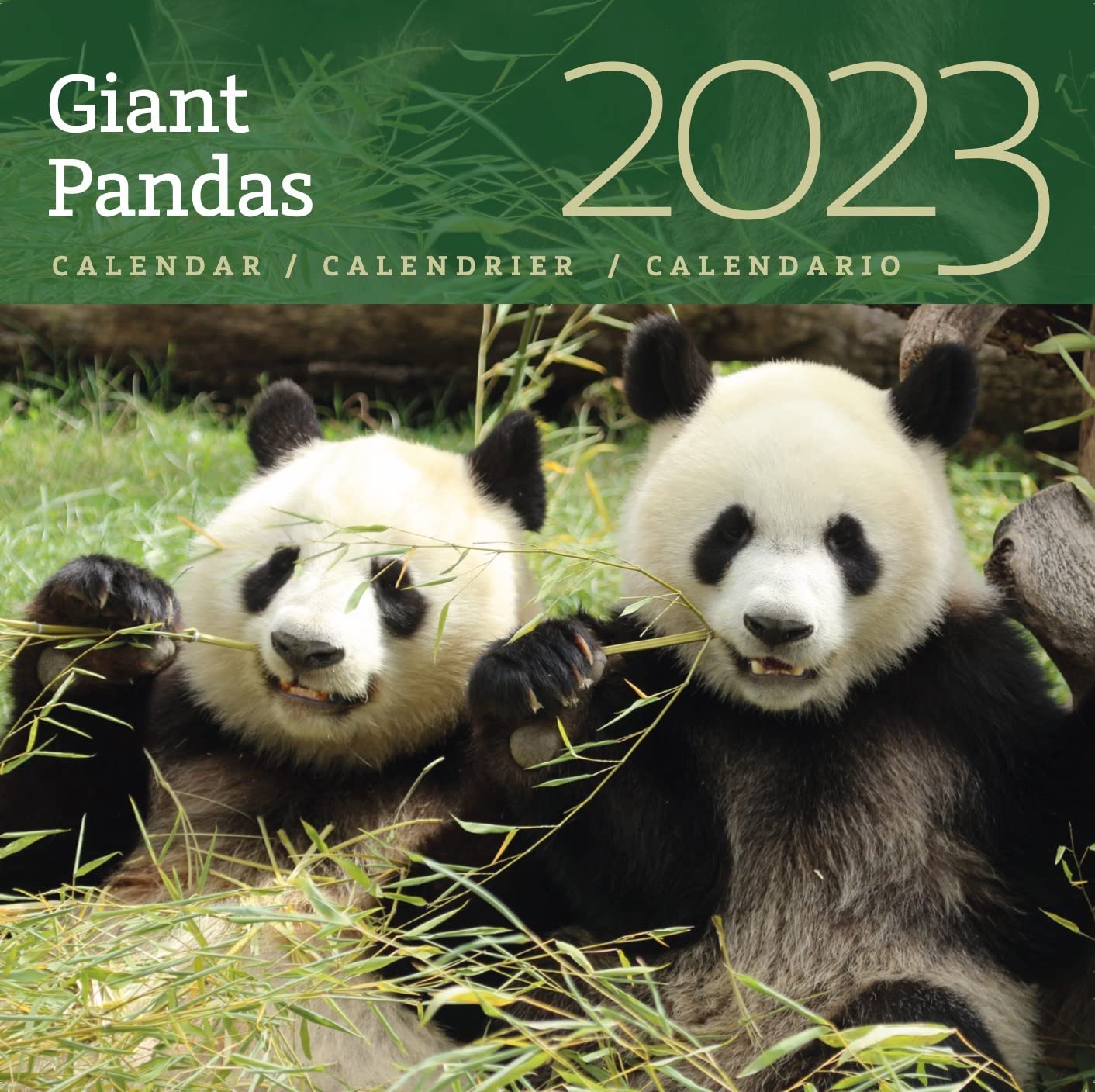Giant Pandas 2023 Wall Calendar by Moongate Books Goodreads