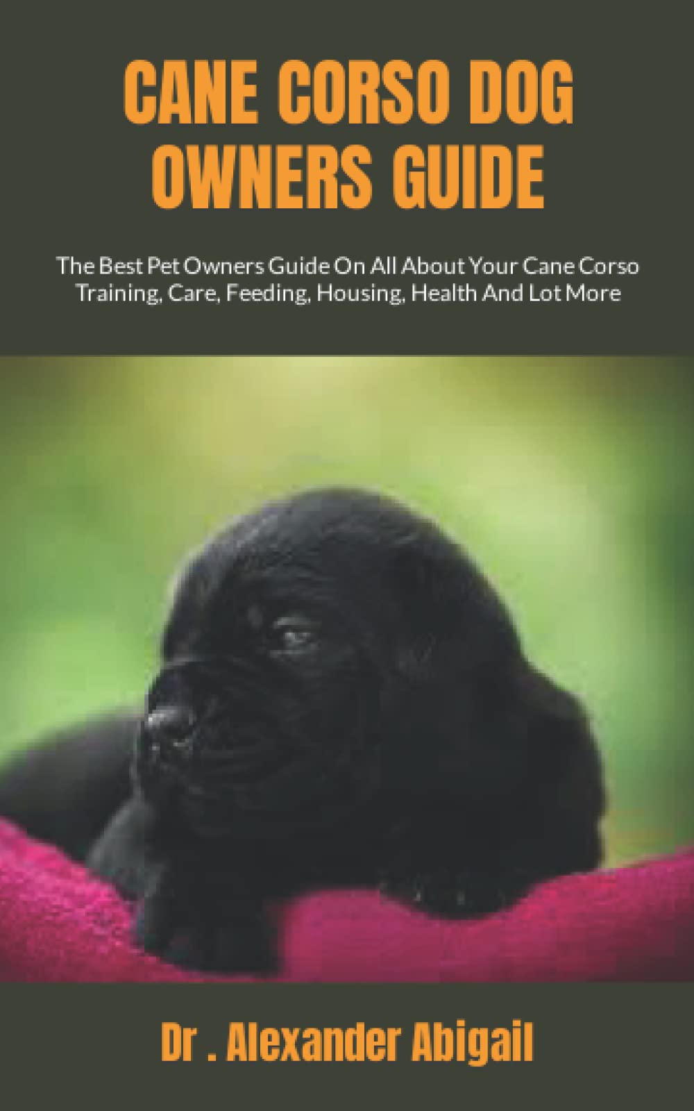 CANE CORSO DOG OWNERS GUIDE The Best Pet Owners Guide On All About Your Cane Corso Training