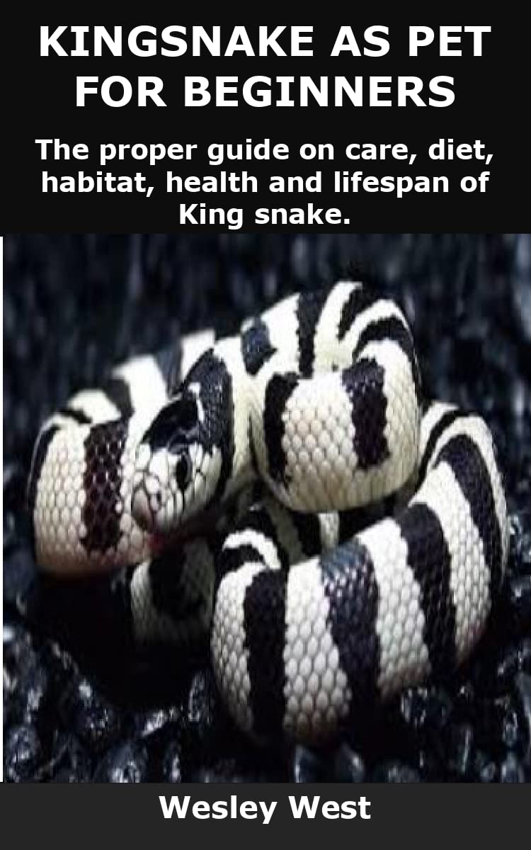 KING SNAKE AS PET FOR BEGINNERS: The proper guide on care, diet ...