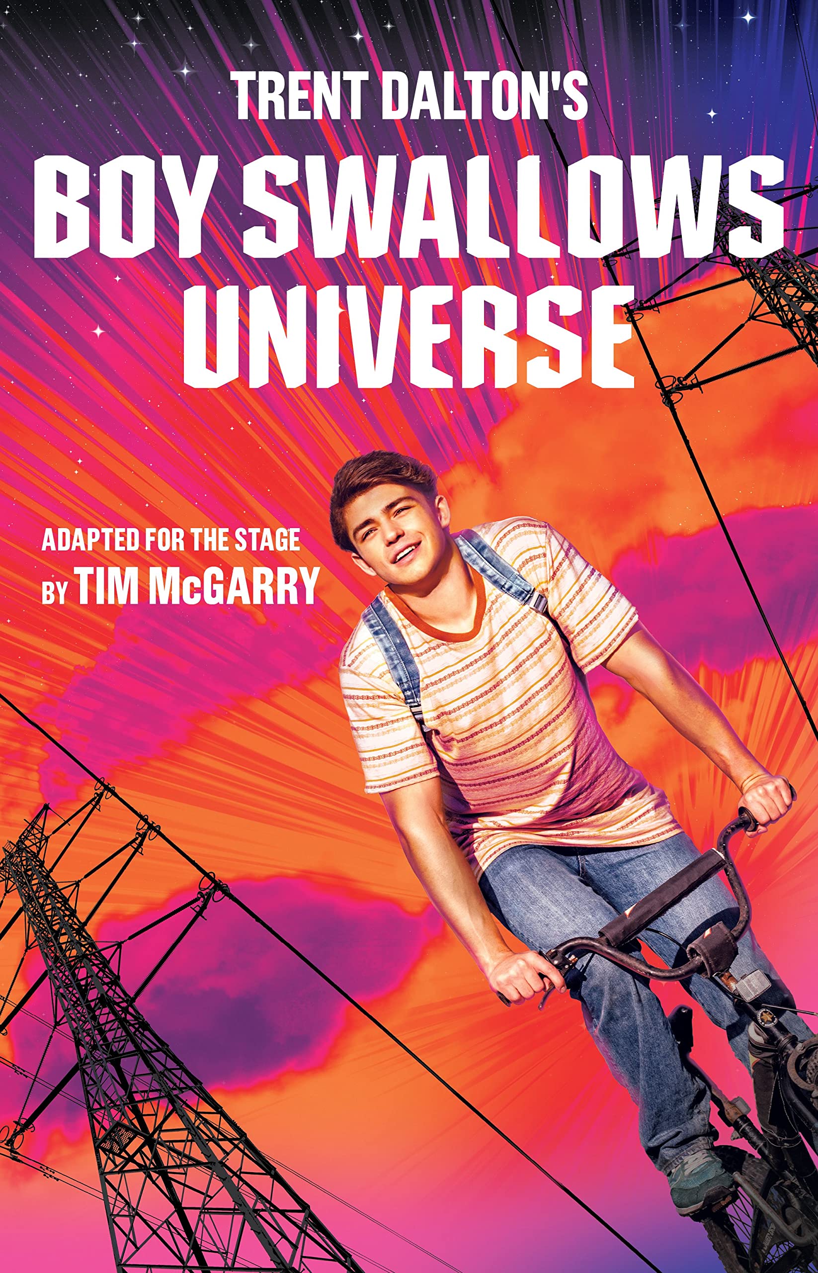 Boy Swallows Universe book cover