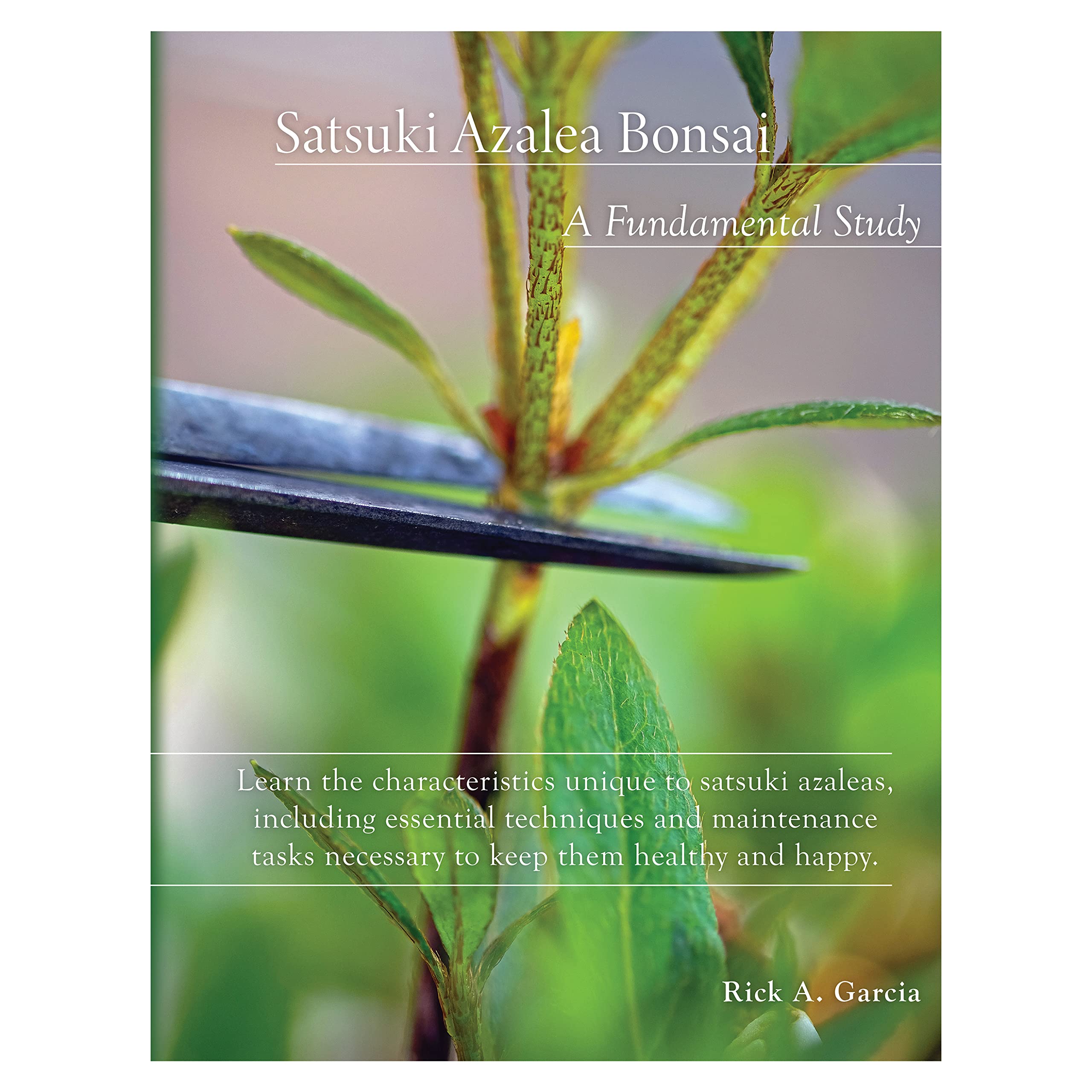 Satsuki Azalea Bonsai A Fundamental Study by Rick A. Garcia Goodreads
