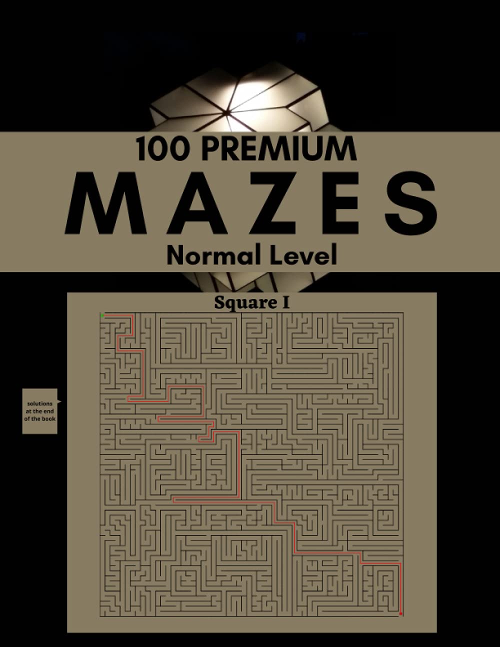 100 Premium Mazes Maze Puzzle Books for Adults & Teens 100 Large