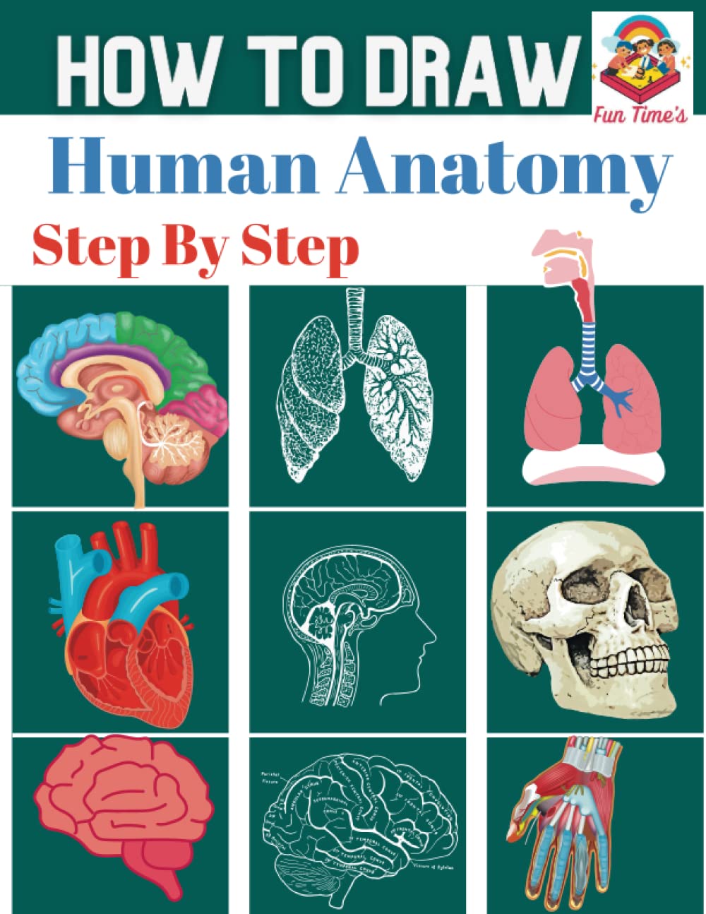 How To Draw Human Anatomy Step by Step A Graph Method Easy To Use