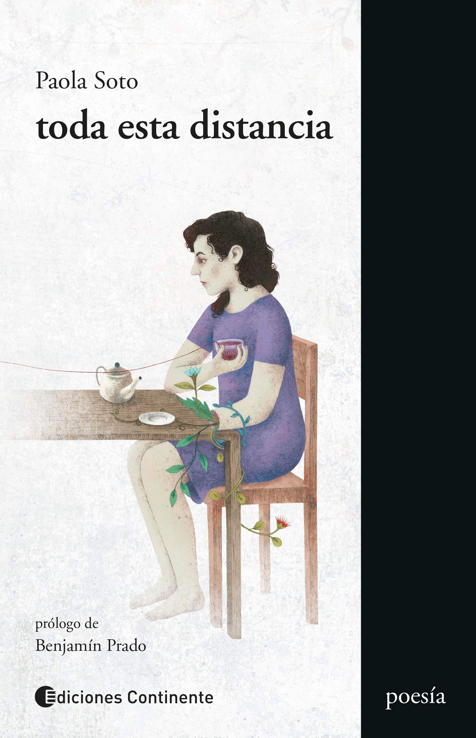 Toda Esa Distancia book cover