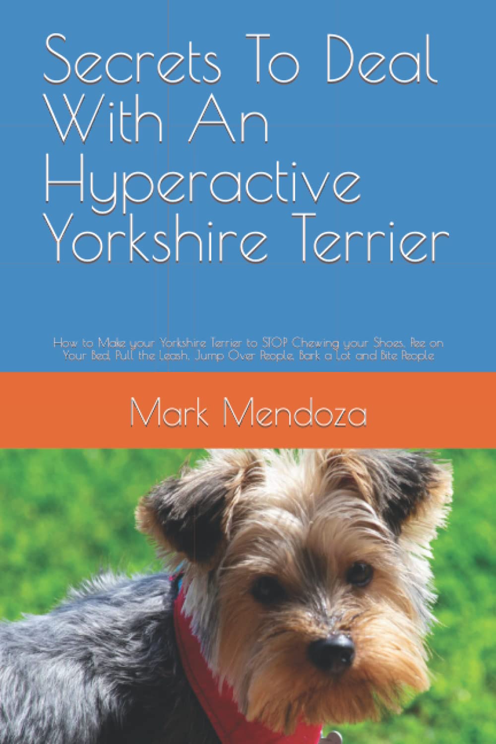 Secrets To Deal With An Hyperactive Yorkshire Terrier How to Make your Yorkshire Terrier to