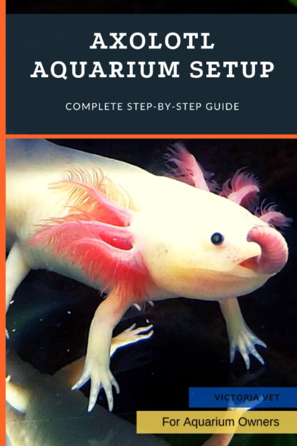 Axolotl Aquarium Setup Complete StepbyStep Guide by Victoria Vet