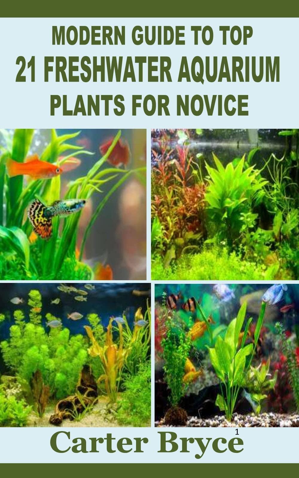 MODERN GUIDE TO TOP 21 FRESHWATER AQUARIUM PLANTS FOR NOVICE by Carter