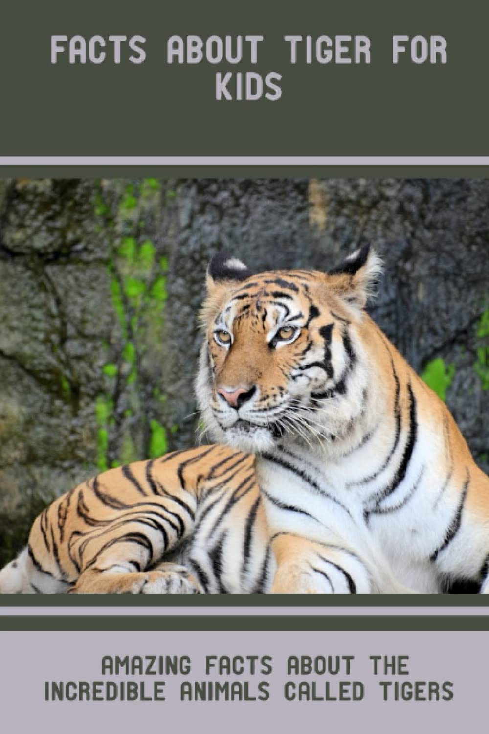 Facts About Tiger For Kids: Amazing Facts About The Incredible Animals ...