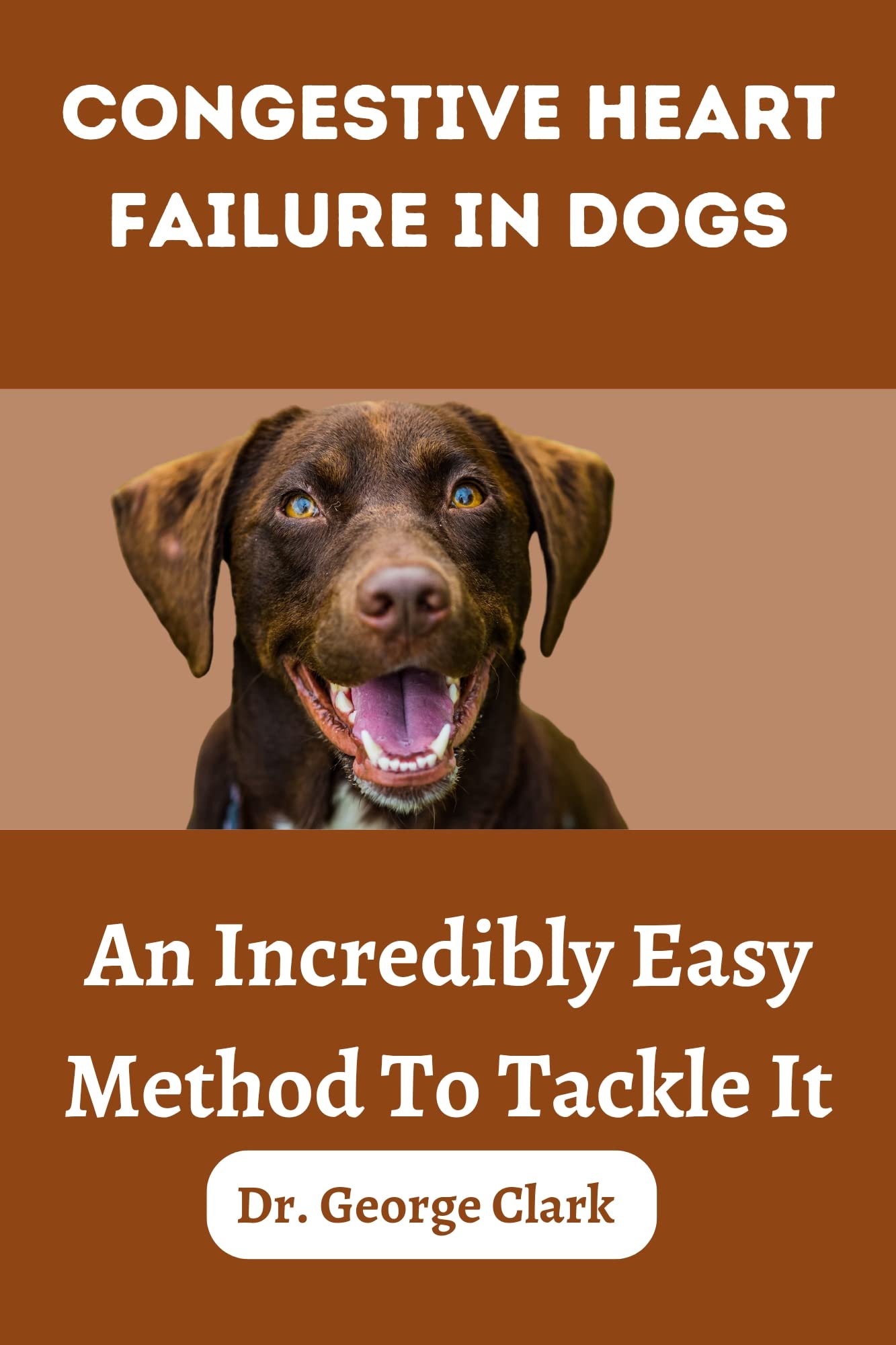 Congestive Heart Failure in dogs An incredibly easy method to tackle