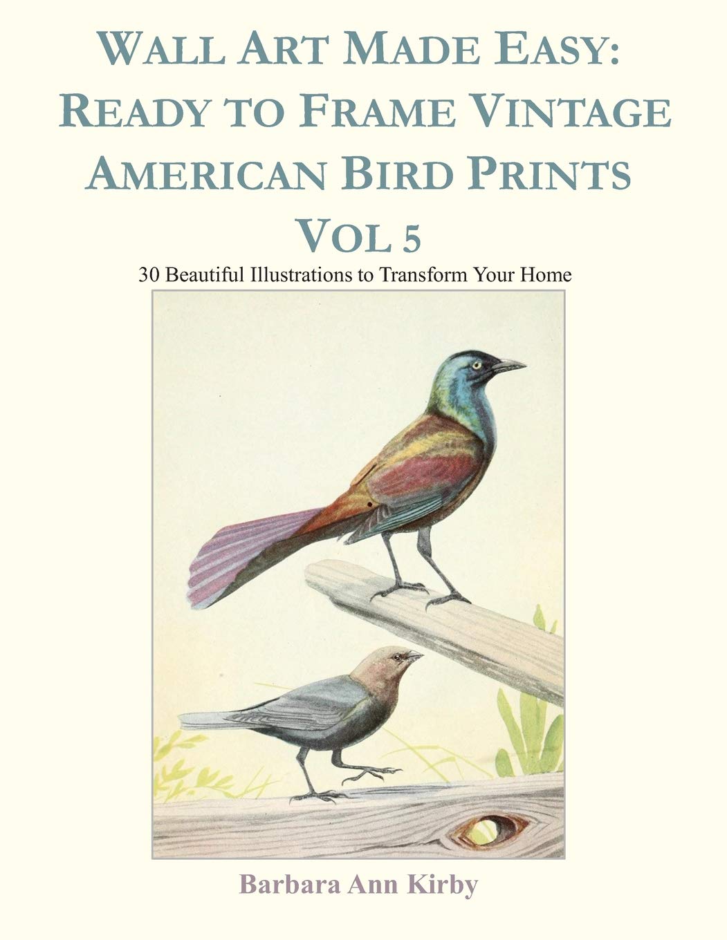 Wall Art Made Easy Ready to Frame Vintage American Bird Prints Vol 5