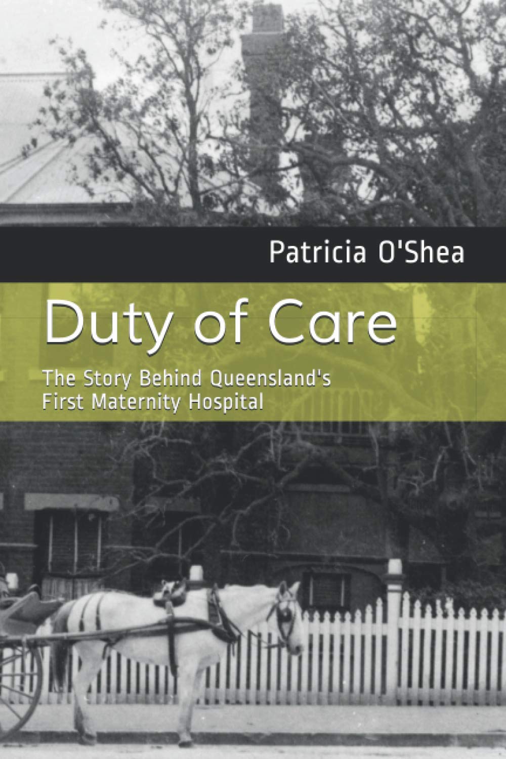 Duty of Care The Story Behind Lady Bowen Hospital, Queensland’s First Maternity Hospital 1864