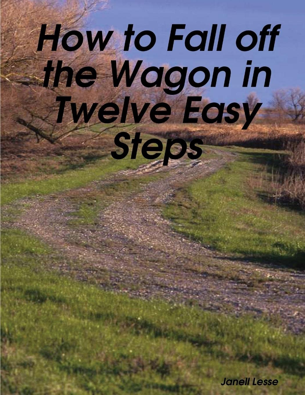 How To Fall Off The Wagon In Twelve Easy Steps by Janell Lesse Goodreads