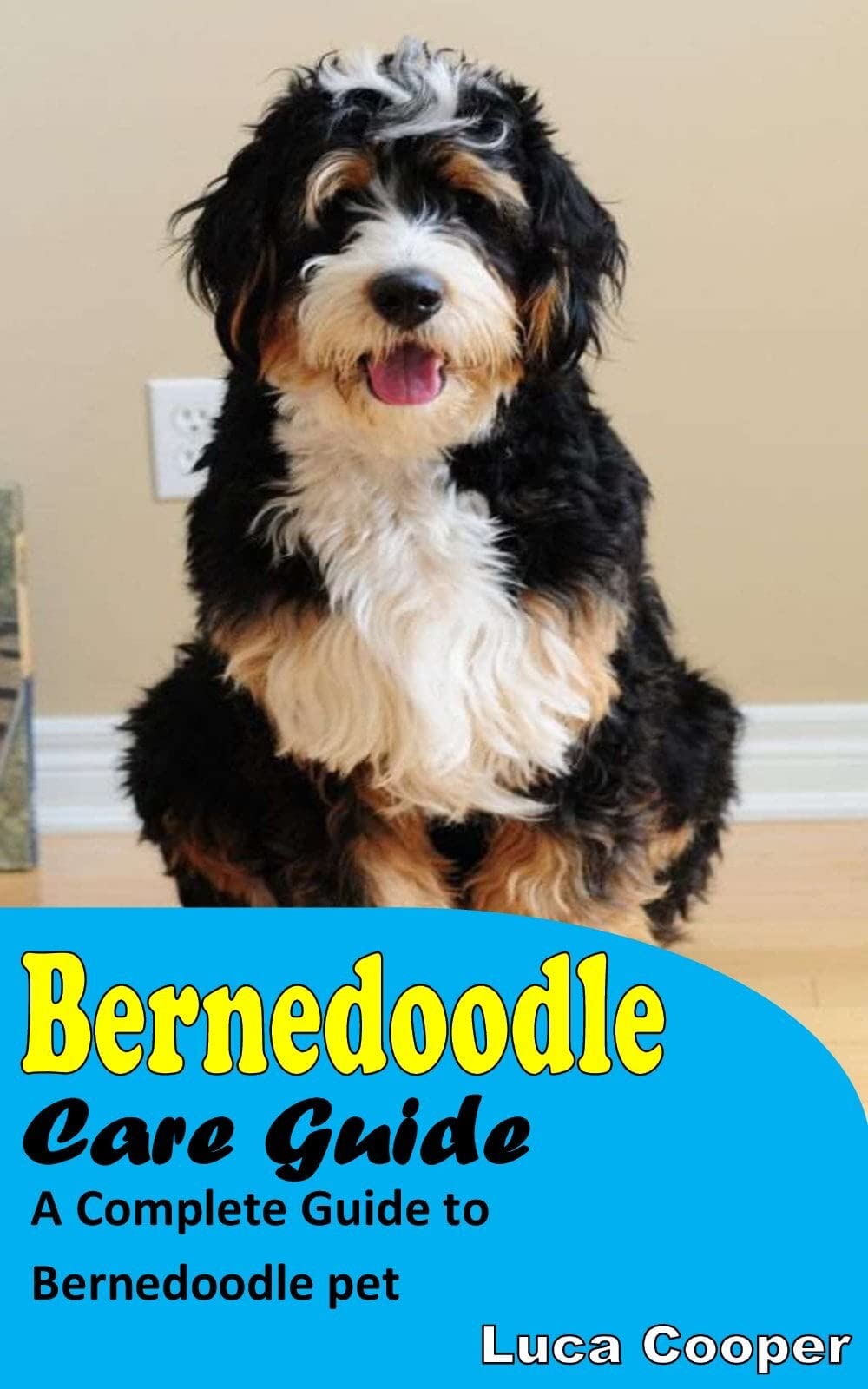 BERNEDOODLE CARE GUIDE A COMPLETE GUIDE TO BERNEDOODLE PET by LUCA
