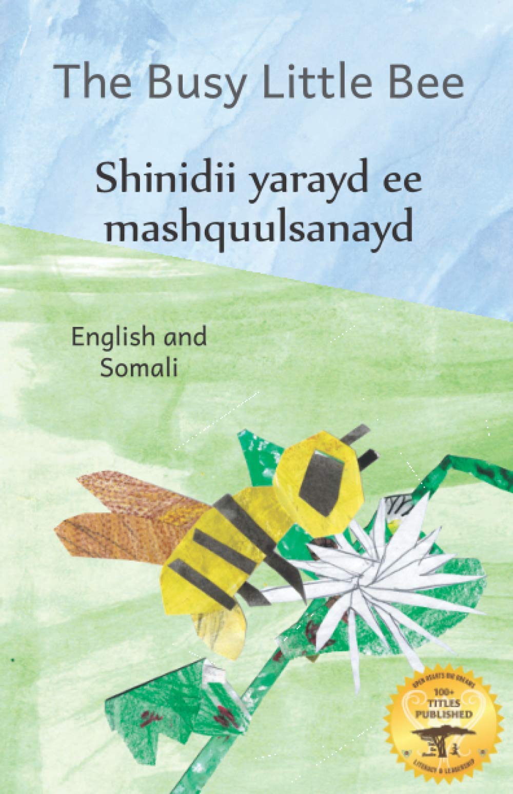 The Busy Little Bee How Bees Make Coffee Possible in Somali And
