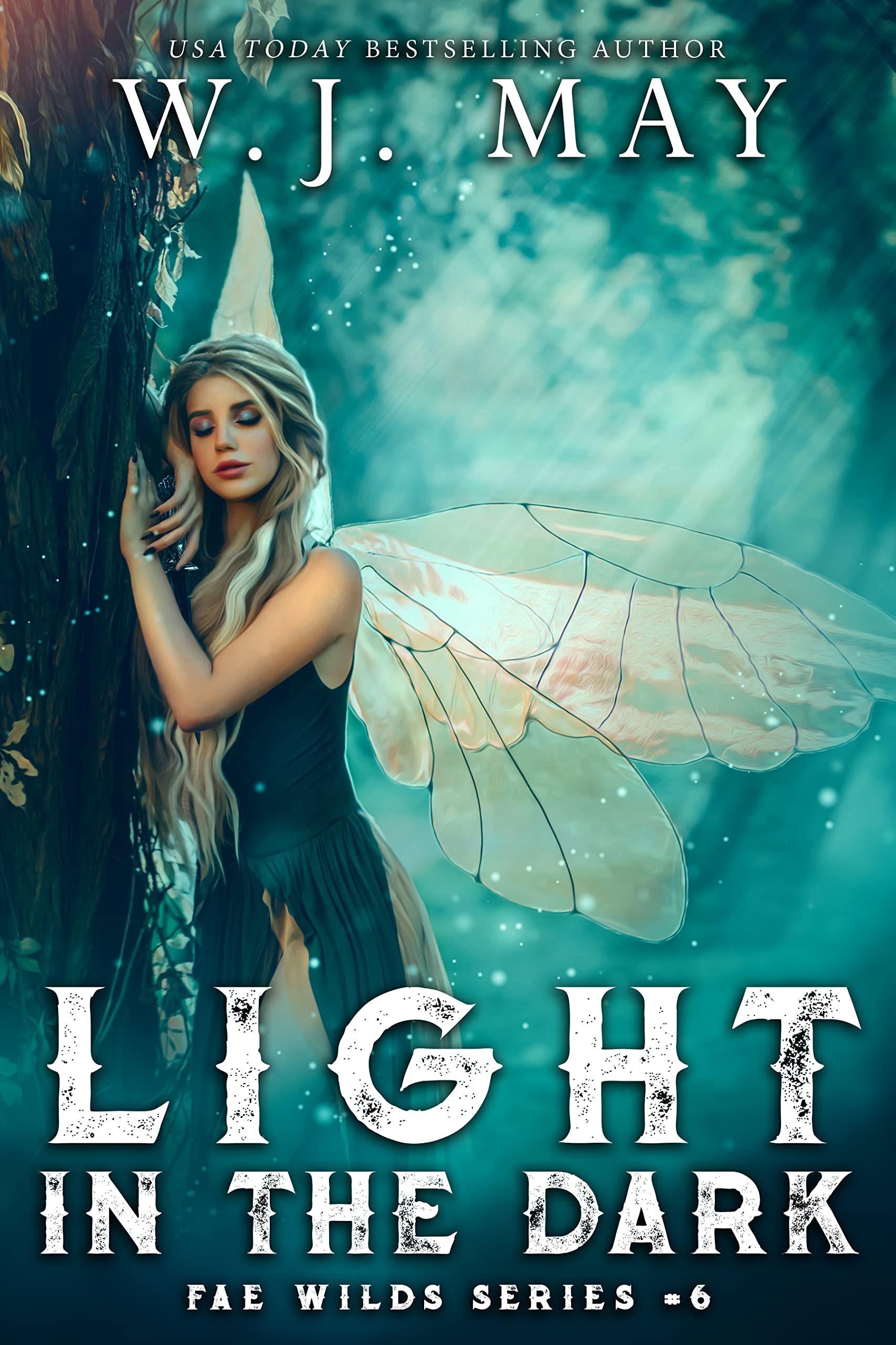 Light in the Dark book cover