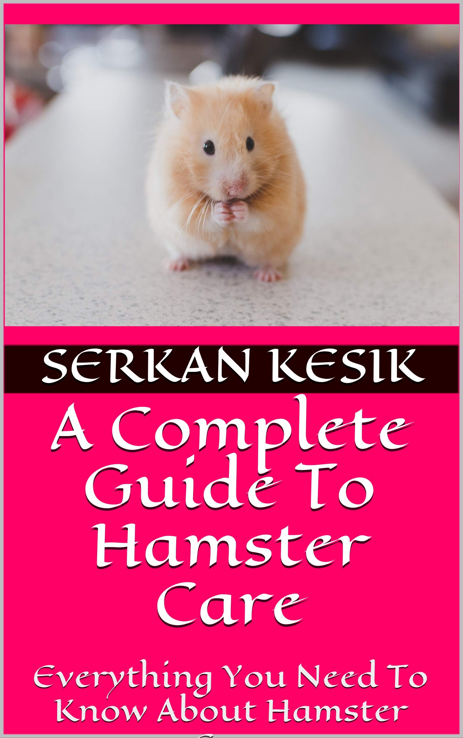 A Complete Guide To Hamster Care Everything You Need To Know About