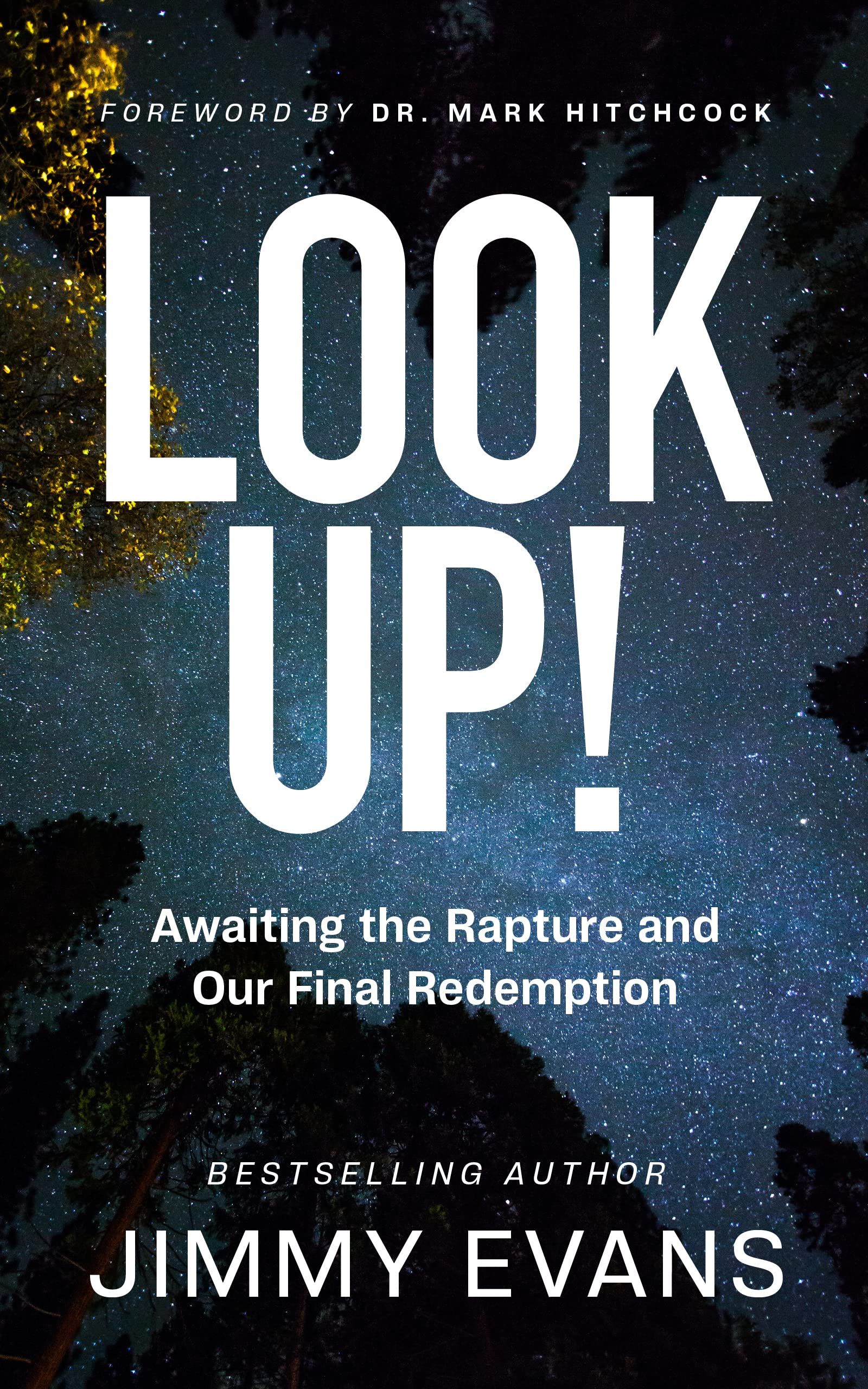 Look Up!: Awaiting the Rapture and Our Final Redemption