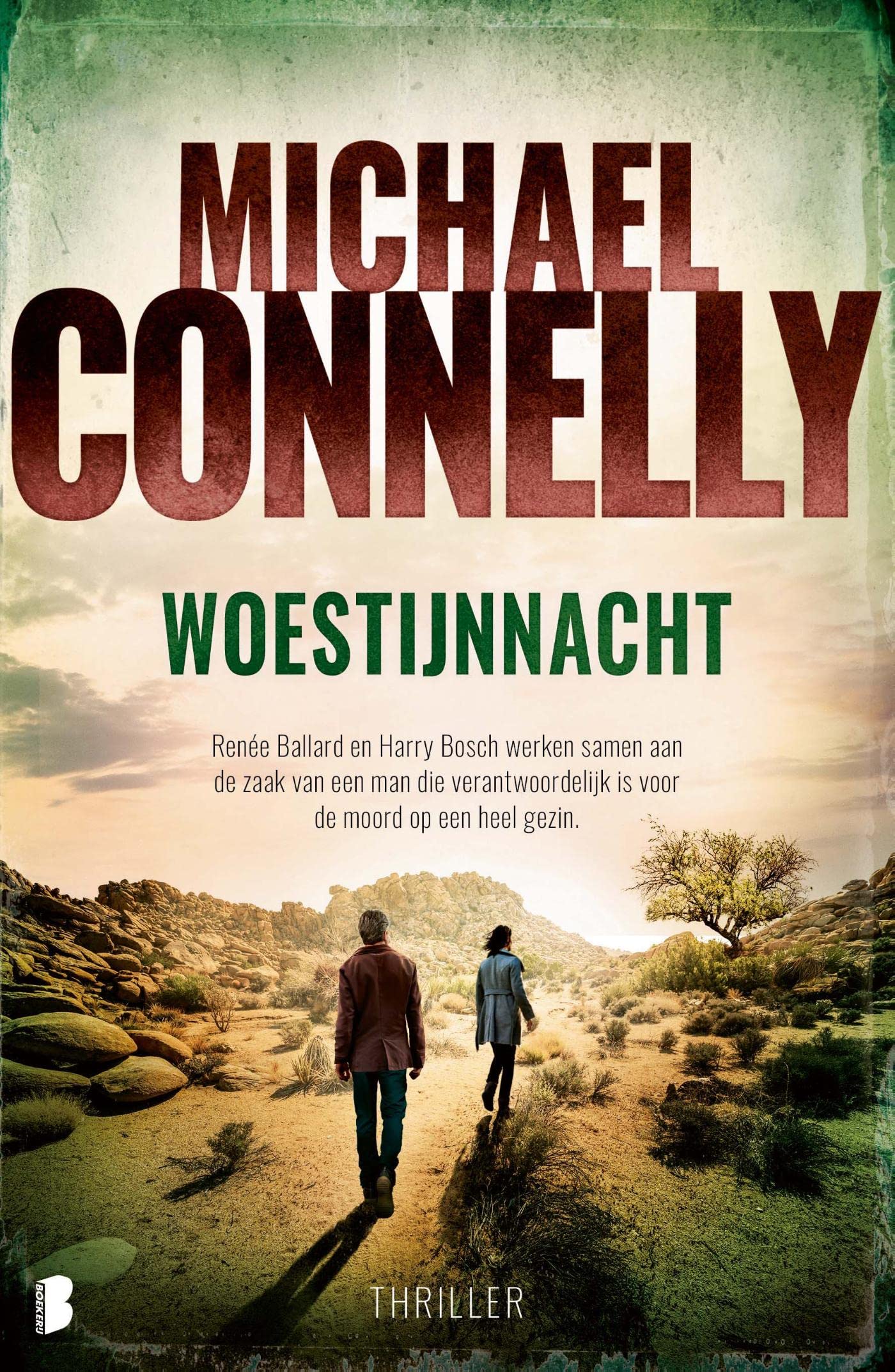 Woestijnnacht book cover