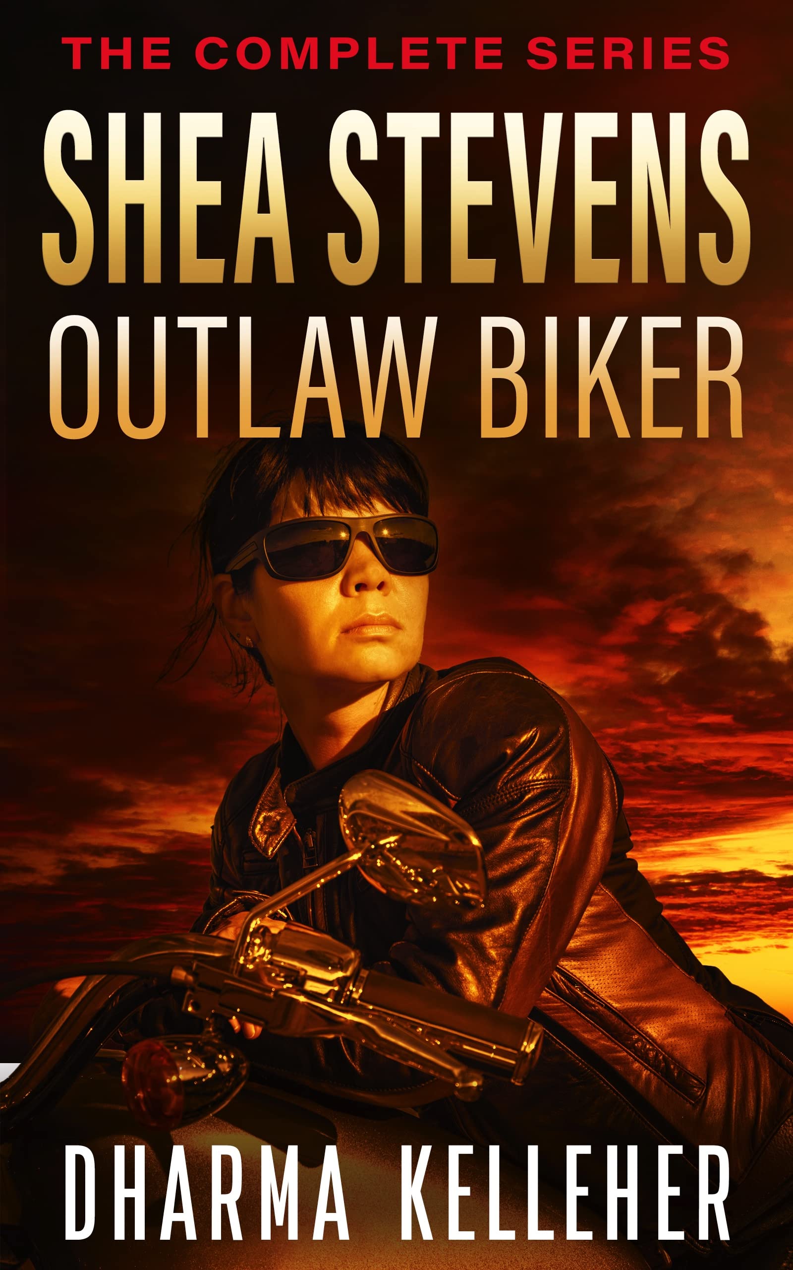 Shea Stevens Outlaw Biker: The Complete Series by Dharma Kelleher ...