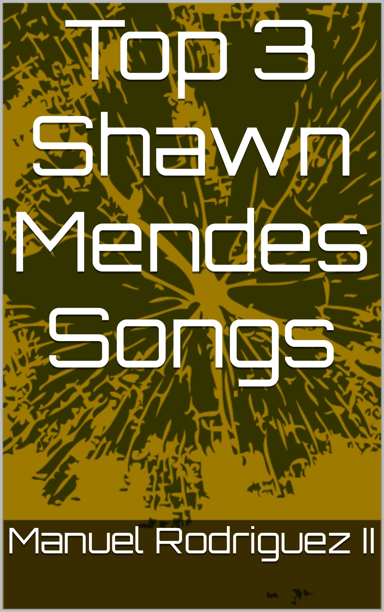 Top 3 Shawn Mendes Songs by Manuel Rodriguez II Goodreads