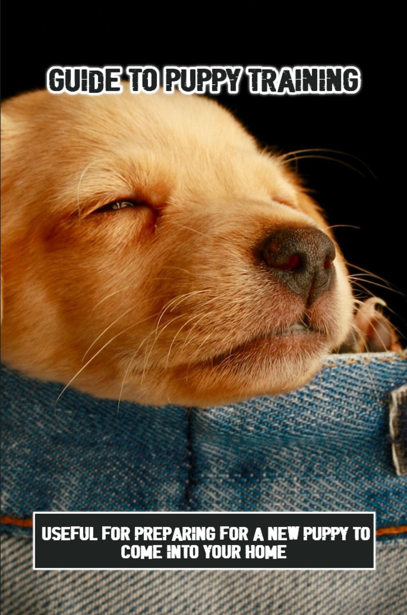 Guide To Puppy Training Useful For Preparing For A New Puppy To Come