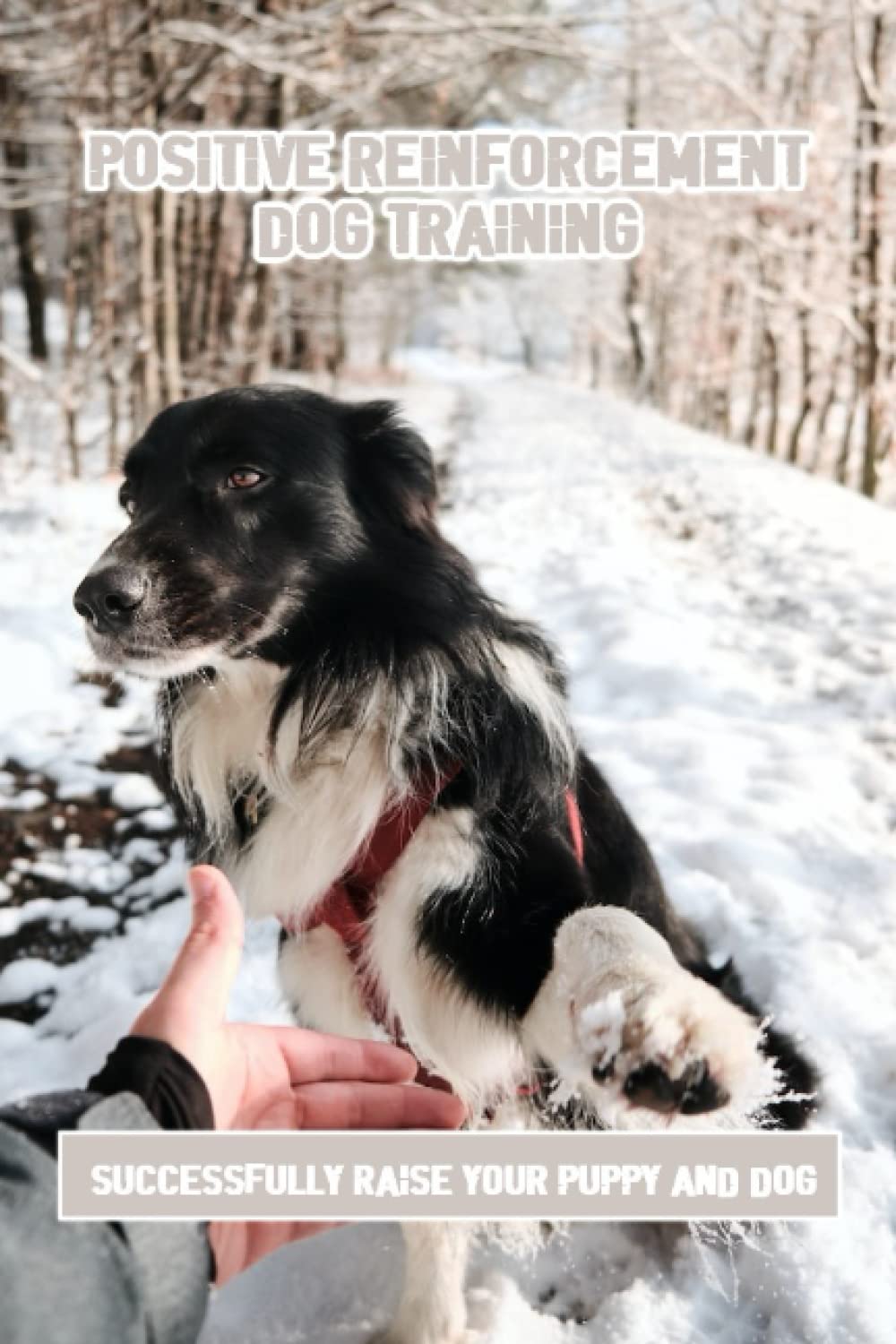 Positive Reinforcement Dog Training Successfully Raise Your Puppy And