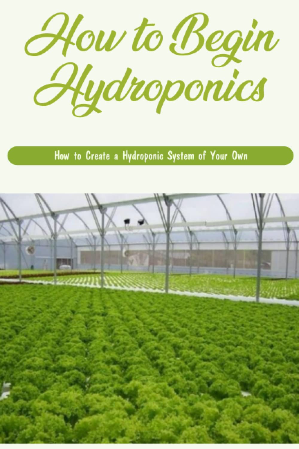 How to Begin Hydroponics How to Create a Hydroponic System of Your Own