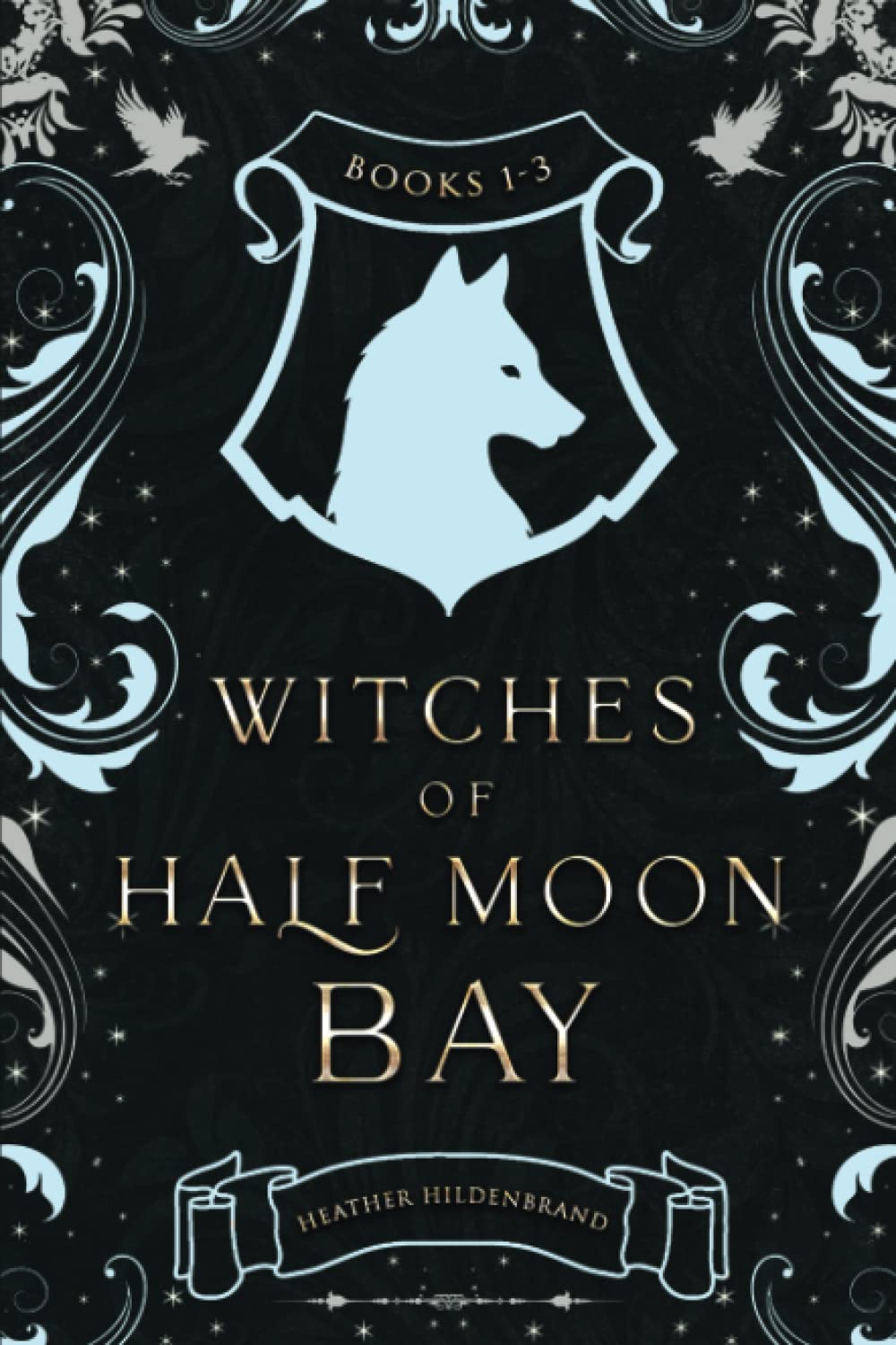 Witches of Half Moon Bay Books 13 (A Witch's Call,